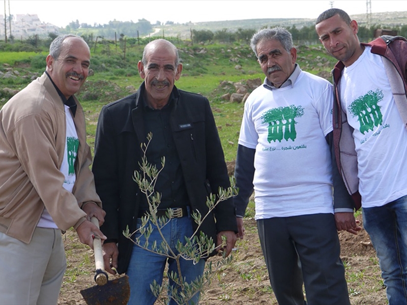 زراعة 1500 شجرة في القدس